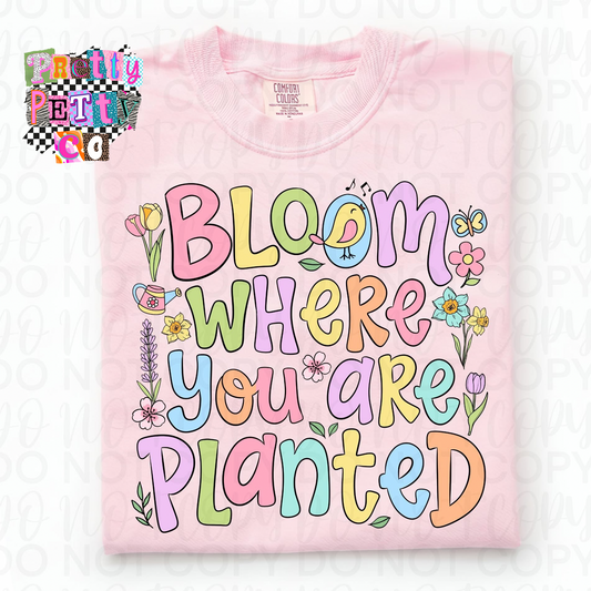 Bloom Where You Are Planted Shirt – Floral Inspirational Graphic Tee