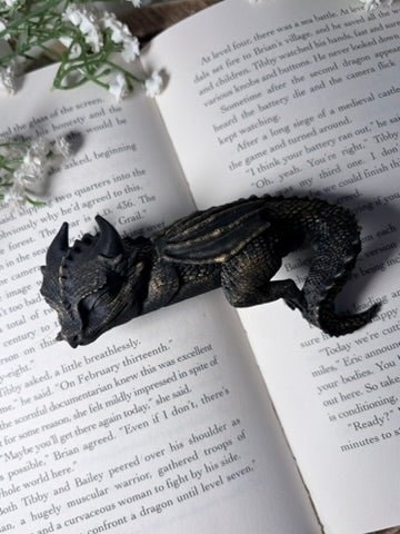 3d Printed Sleeping Dragon Bookshelf Decoration - Pretty Petty Co