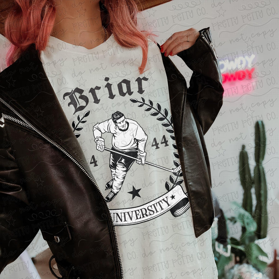 Briar University Hockey Shirt | Vintage Collegiate Hockey Graphic Tee | Sports Romance Inspired T-Shirt
