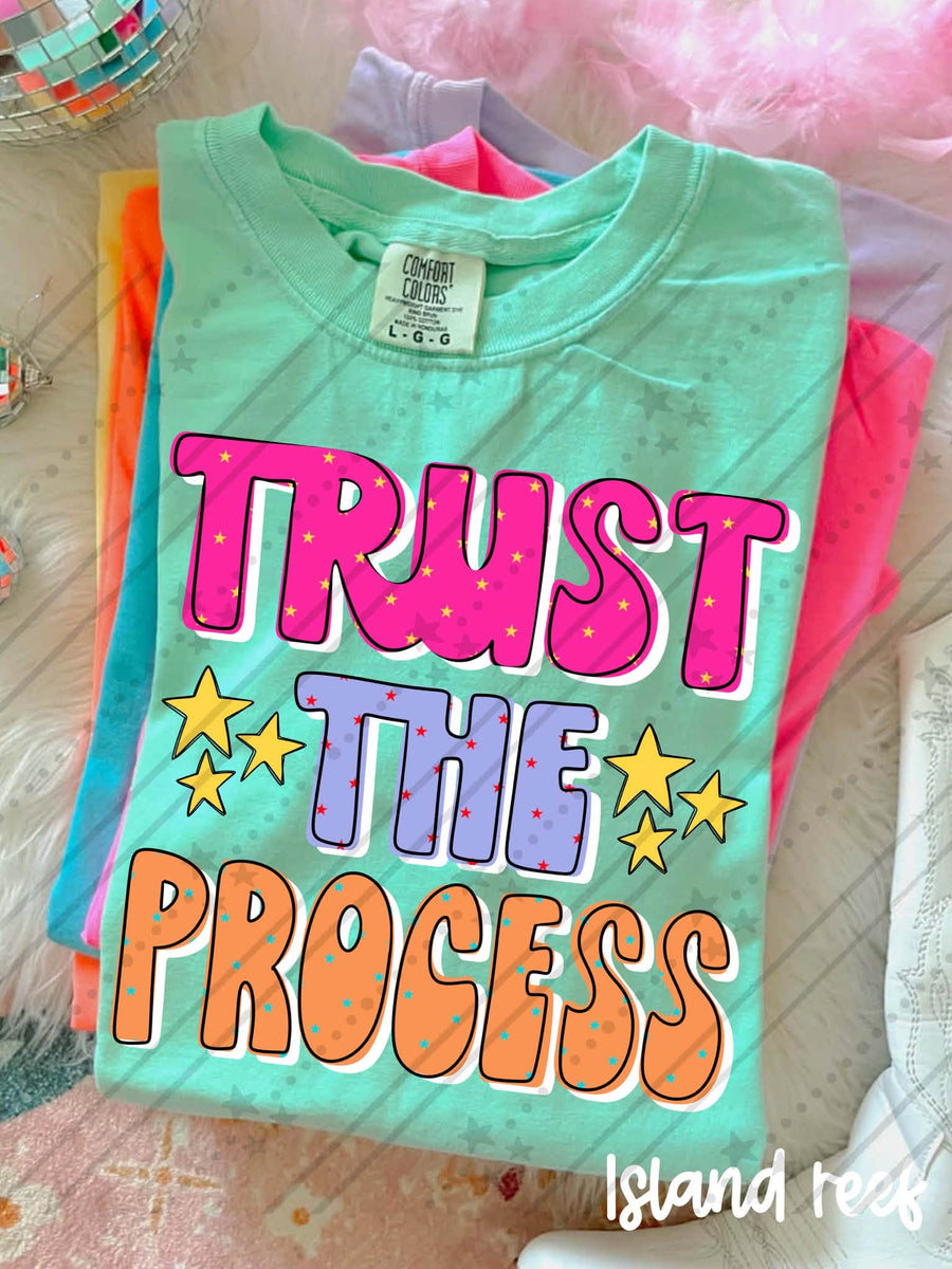 Trust the Process Shirt | Inspirational Graphic Tee | Motivational Quote Shirt | Positive Mindset Apparel | Encouragement Gift