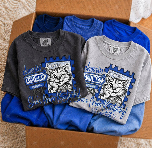 Kentucky Mascot Graphic Tee | She’s From Kentucky I Can Tell