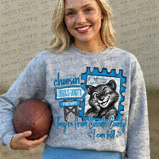 Lincoln County Panthers Graphic Tee | She’s From Lincoln County I Can Tell