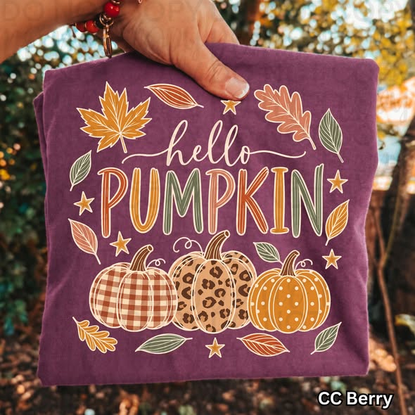 Hello Pumpkin Fall Graphic Tee | Cute Comfort Colors Autumn Shirt
