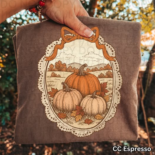 Vintage Pumpkin Patch Graphic Tee | Coquette Fall Bow Shirt | Comfort Colors Espresso