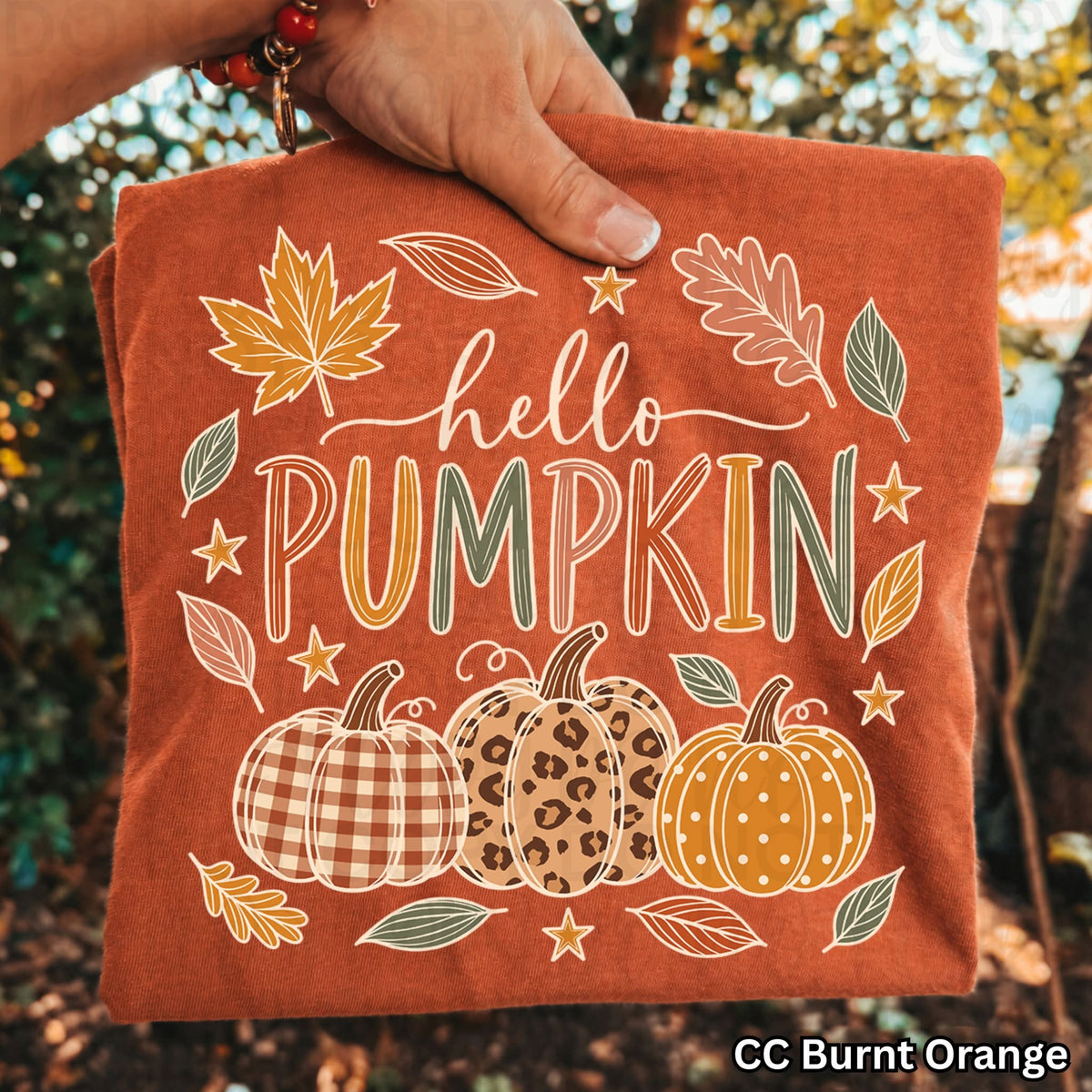 Hello Pumpkin Fall Graphic Tee | Cute Comfort Colors Autumn Shirt