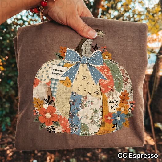 Vintage Patchwork Pumpkin Graphic Tee | Coquette Bow Fall Shirt | Comfort Colors Autumn T-Shirt