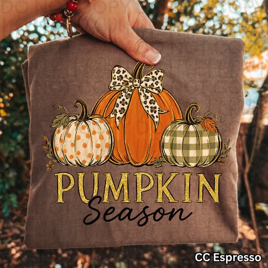 Pumpkin Season Graphic Tee | Leopard Bow Pumpkin Shirt | Fall Comfort Colors T-Shirt | Cute Autumn Apparel