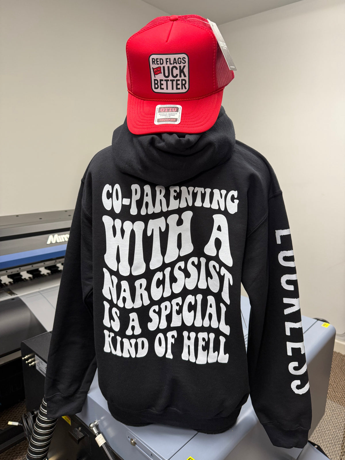 Co-Parenting With A Narcissist Hoodie - Pretty Petty Co