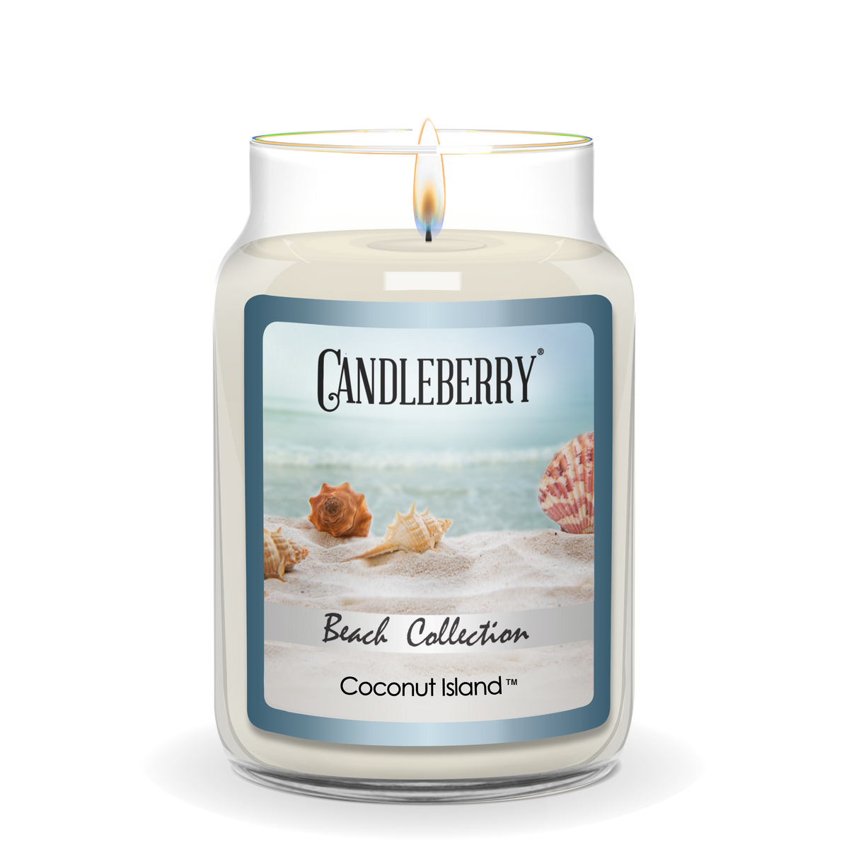 Beach Collection - Coconut Island™, Large Jar Candle (Collective) - Pretty Petty Co
