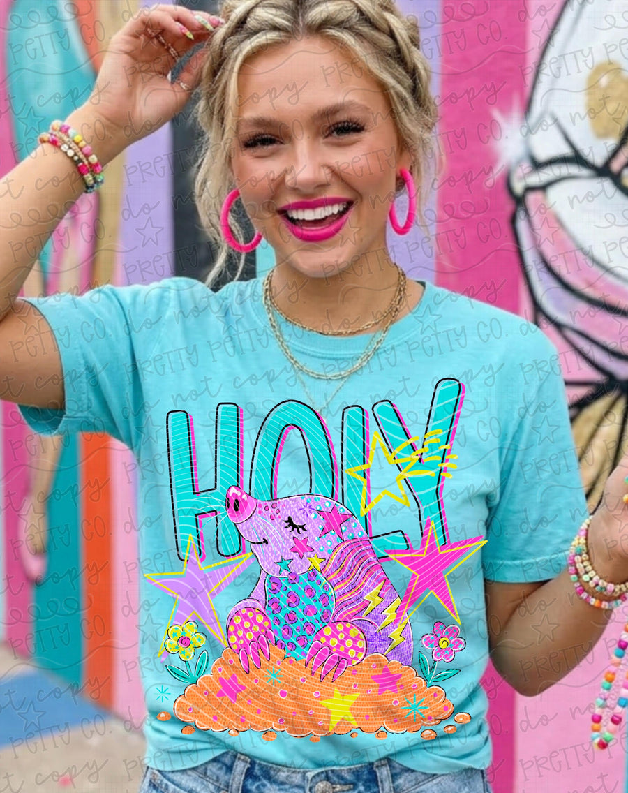 Holy Moly Funny Shirt, Vintage Farm Animal Graphic Tee, Cute Animal Pun T-Shirt, Funny Casual Barn Shirt for Women and Kids - Pretty Petty Co
