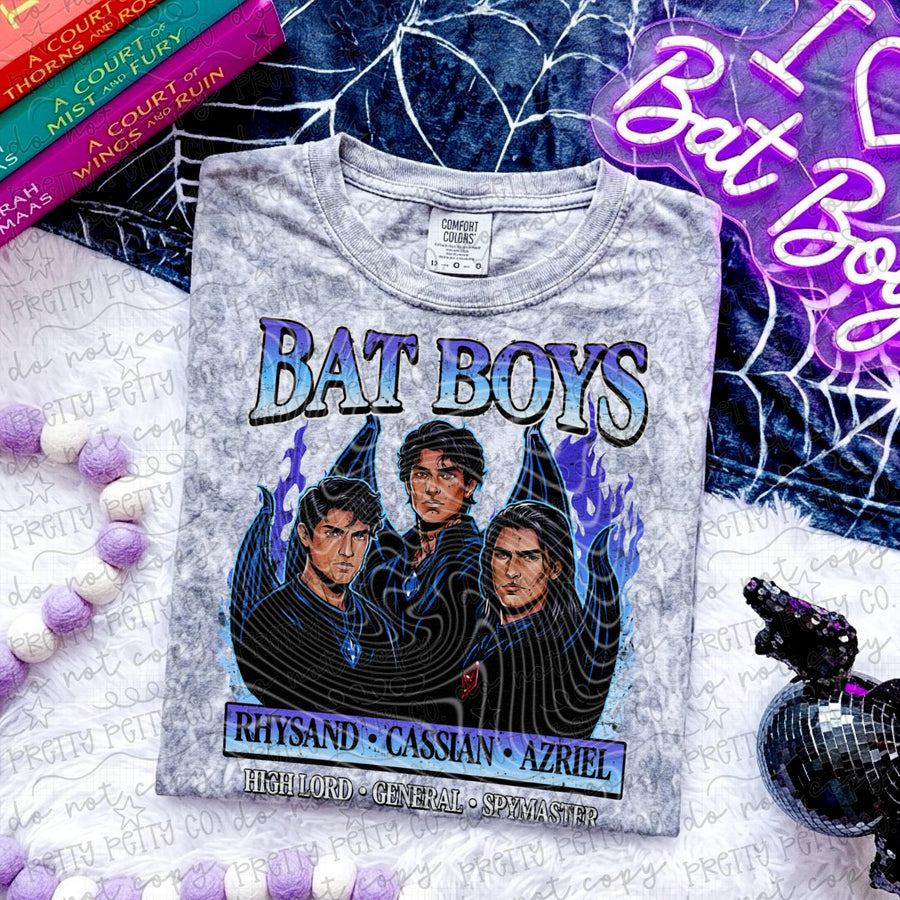 Bat Boys Shirt Comfort Colors Tee, Fantasy Reader Graphic Tee, Booktok Shirt, Romantasy Reader Tee, Morally Gray Book Boyfriend Shirt, Book Lover Gift - Pretty Petty Co