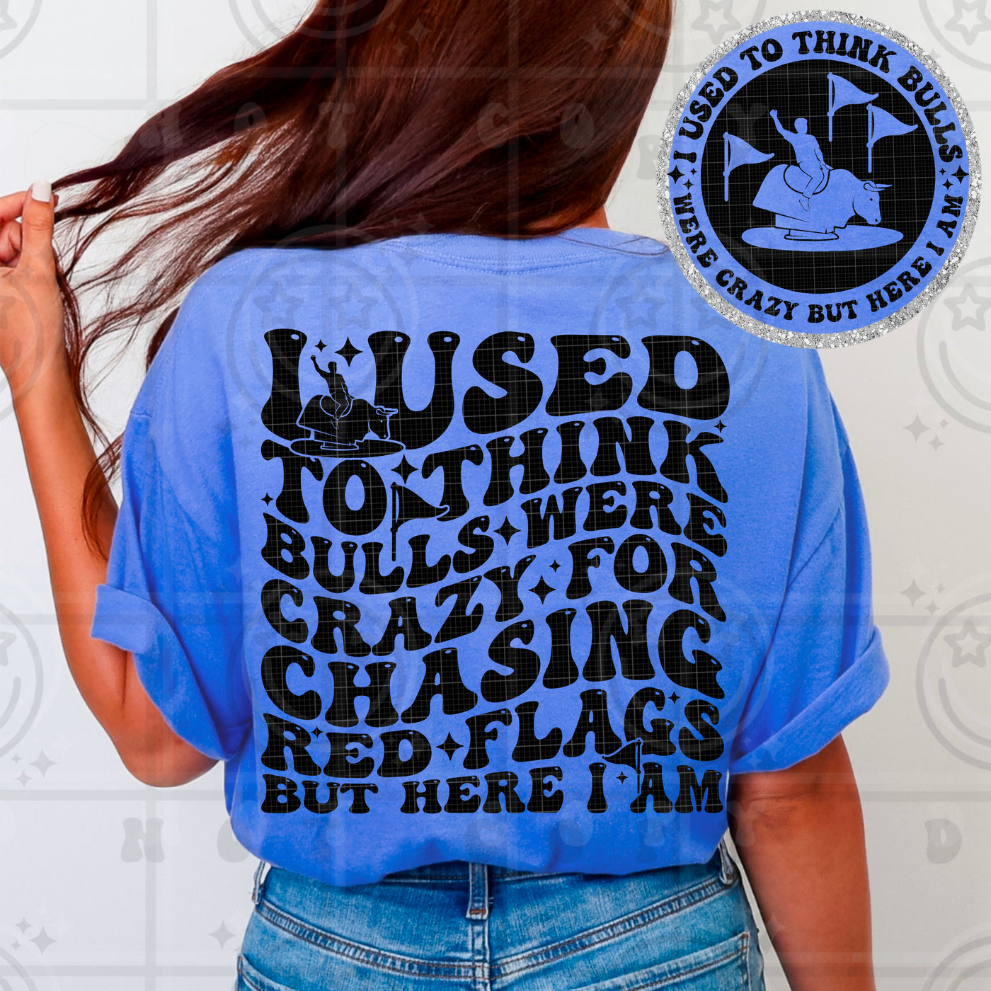 I Used to Think Bulls Were Crazy for Chasing Red Flags Funny Sarcastic Graphic Tee