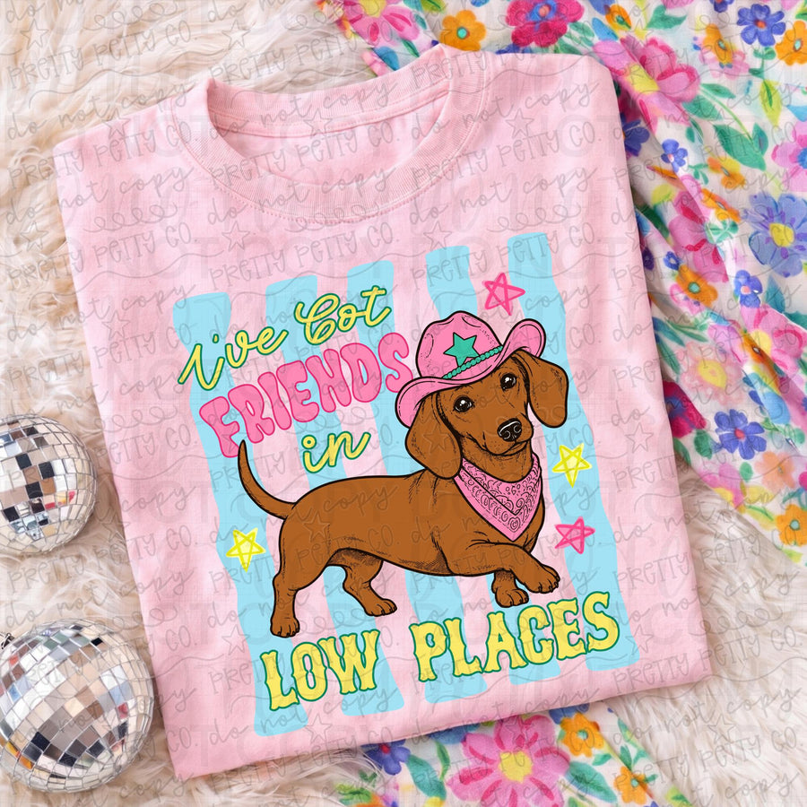 I’ve Got Friends in Low Places Dachshund Graphic Tee | Funny Western Dog Shirt | Cowgirl T-Shirt