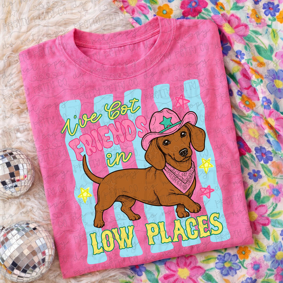 I’ve Got Friends in Low Places Dachshund Graphic Tee | Funny Western Dog Shirt | Cowgirl T-Shirt