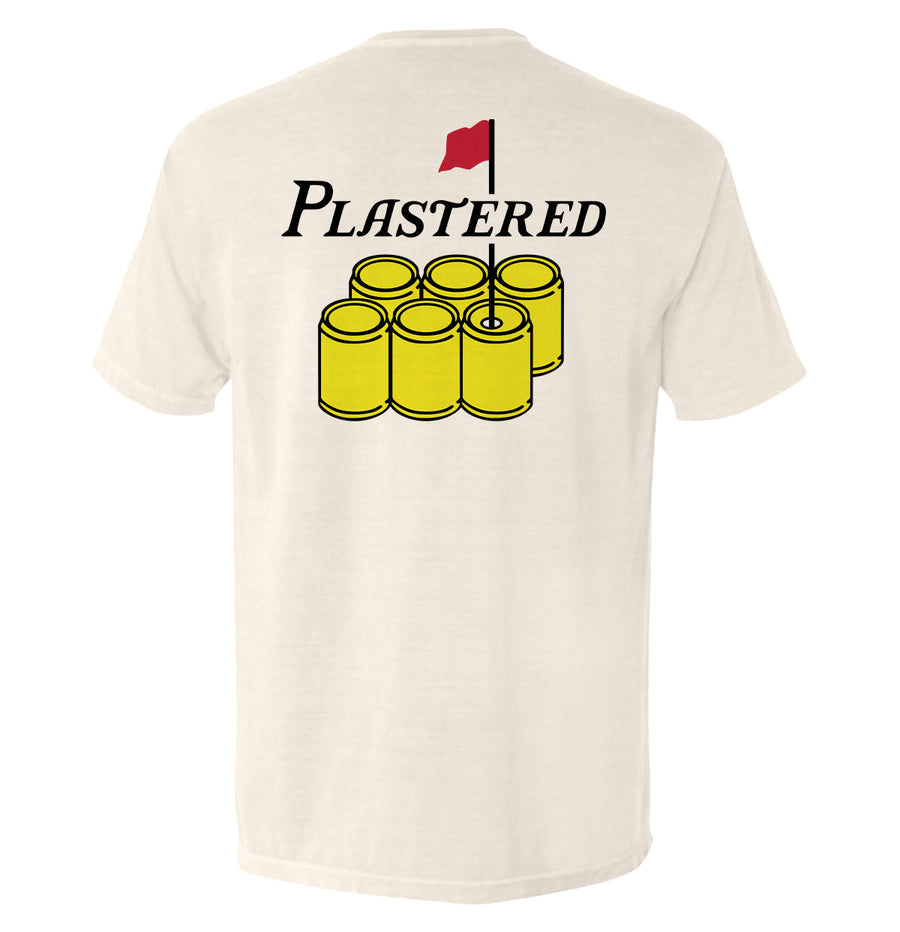 Plastered Logo - Pretty Petty Co