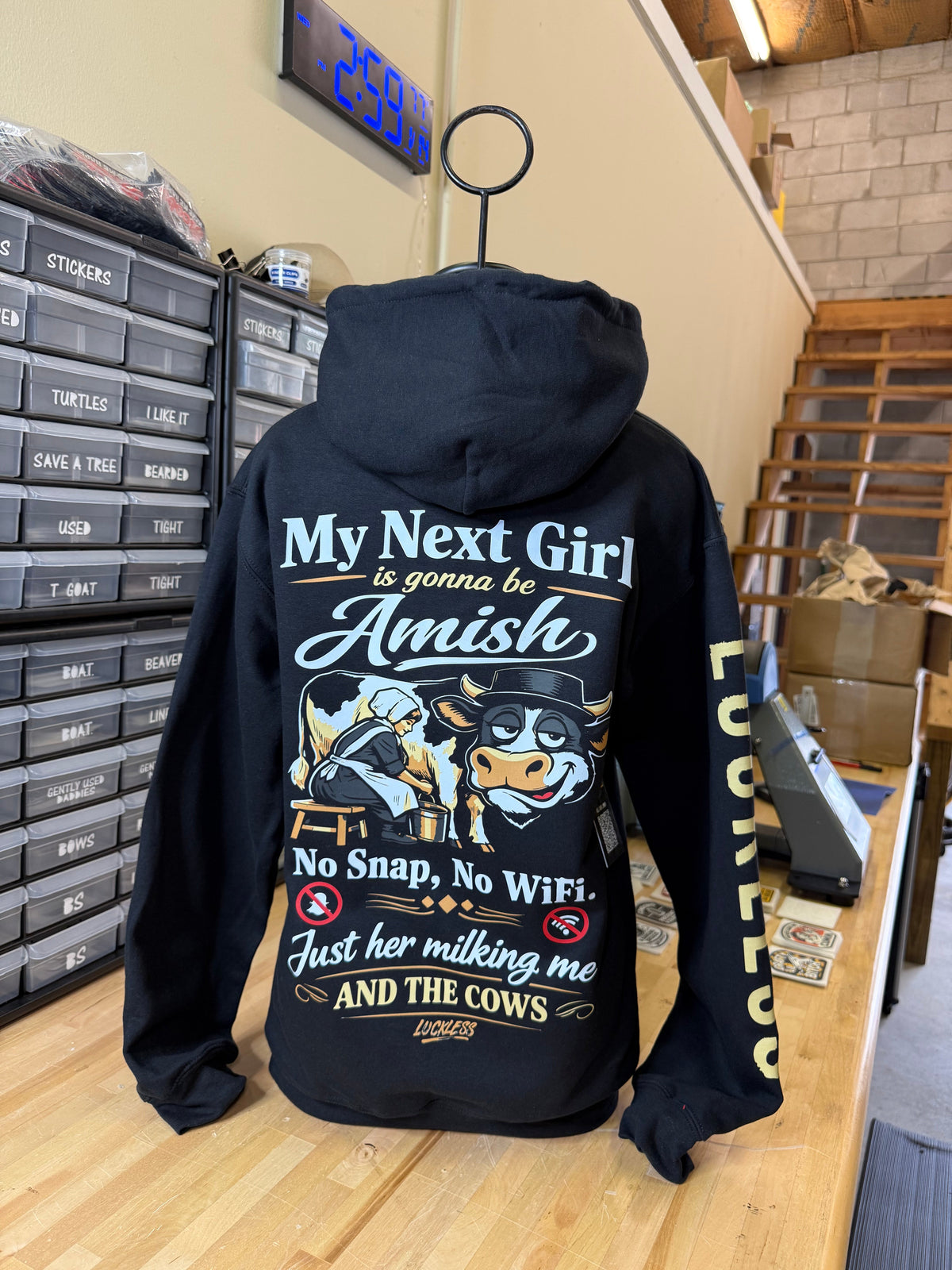 My Next Girl Is Gonna Be Amish Hoodie - Pretty Petty Co