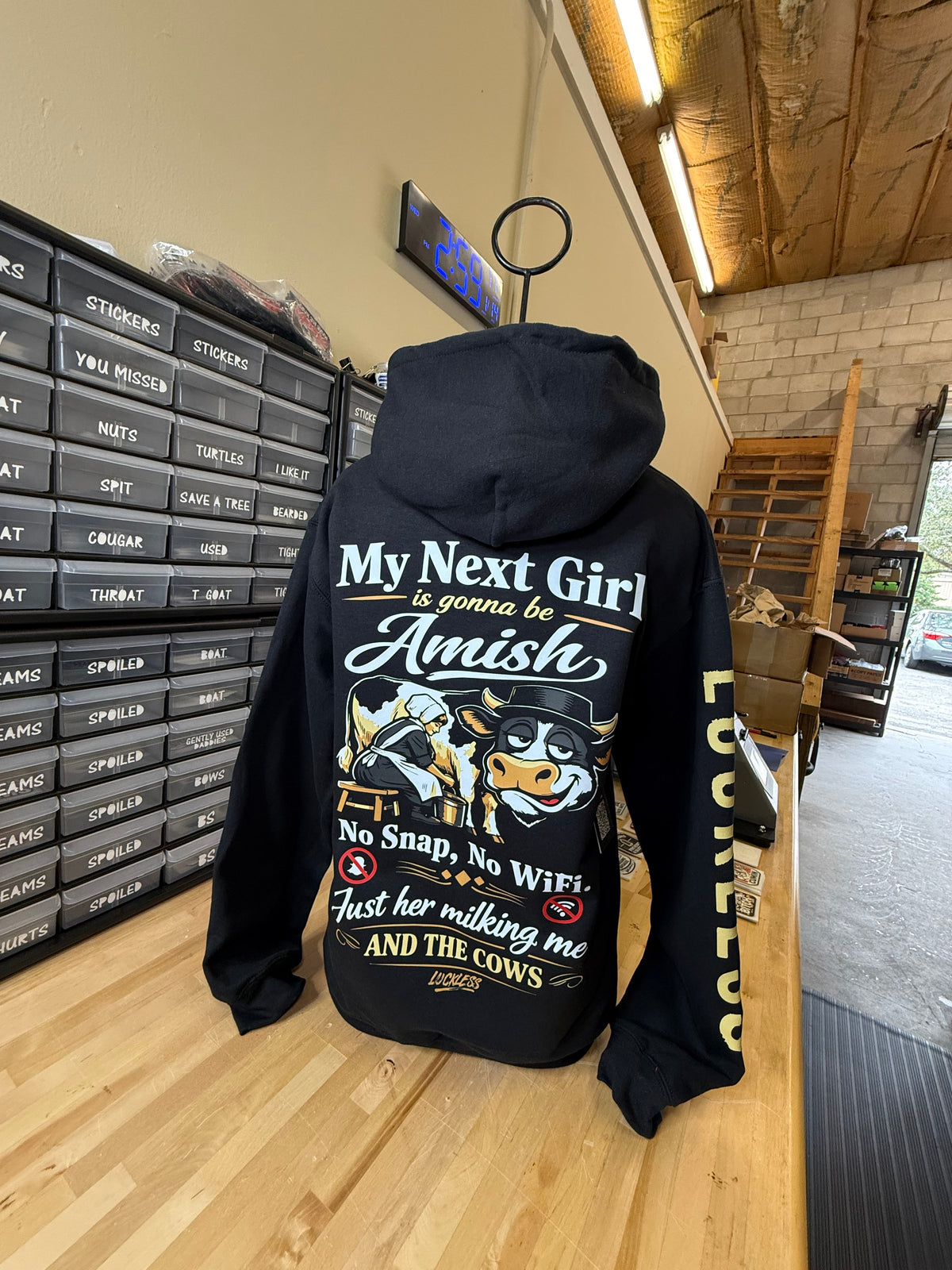 My Next Girl Is Gonna Be Amish Hoodie - Pretty Petty Co