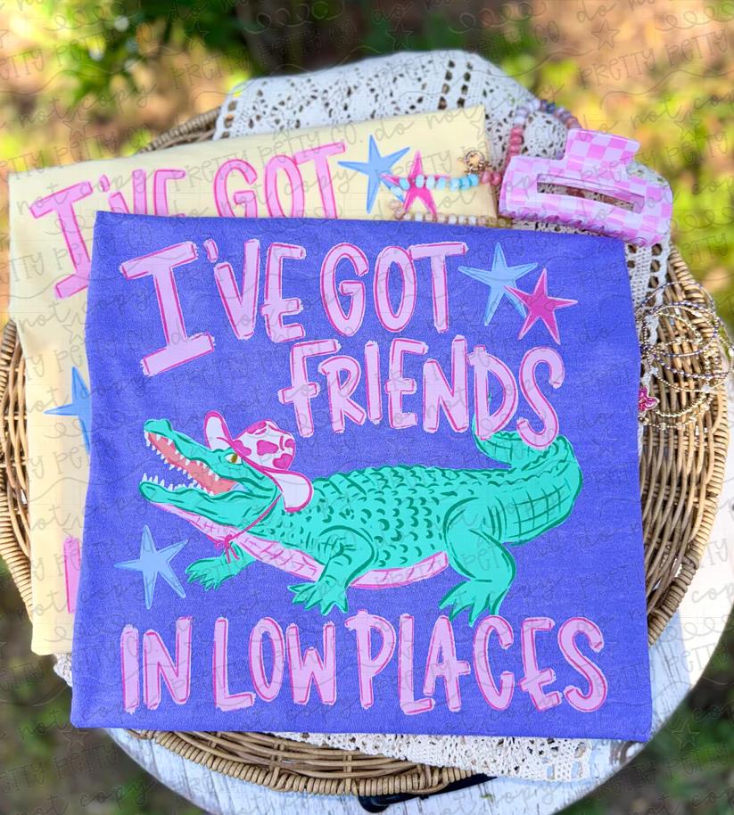 I’ve Got Friends In Low Places Alligator Graphic Tee | Funny Southern Country Shirt | Cute Western Apparel - Pretty Petty Co