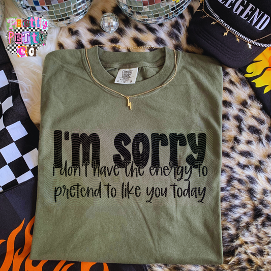 I’m Sorry I Don’t Have the Energy to Pretend to Like You Today Shirt – Funny Sarcastic Graphic Tee – Introvert Quote T-Shirt – Petty Statement Top