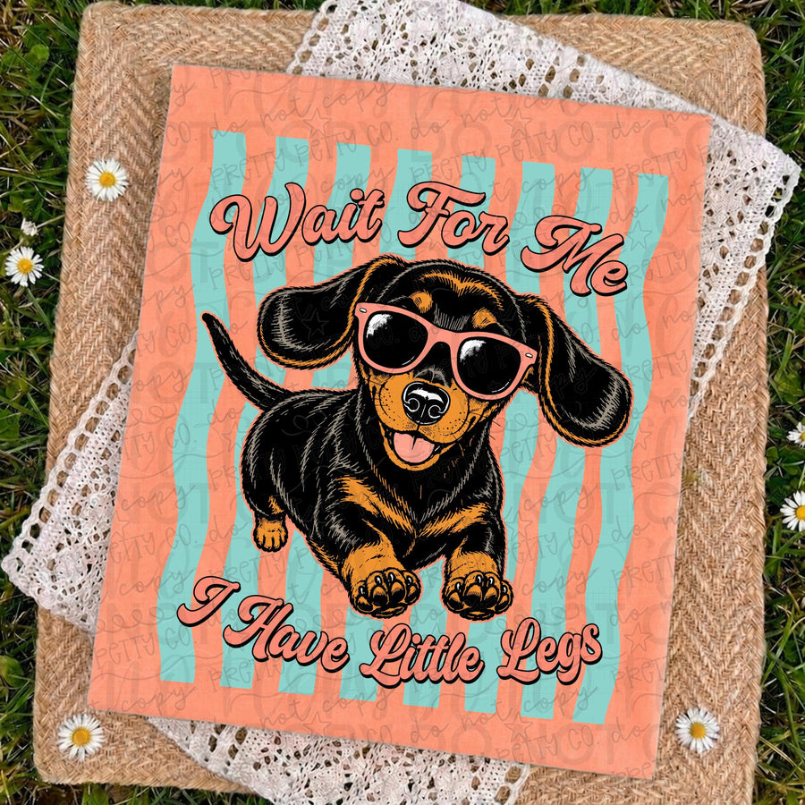 Wait For Me I Have Little Legs Dachshund Graphic Tee | Funny Wiener Dog Shirt | Retro Dog Lover T-Shirt