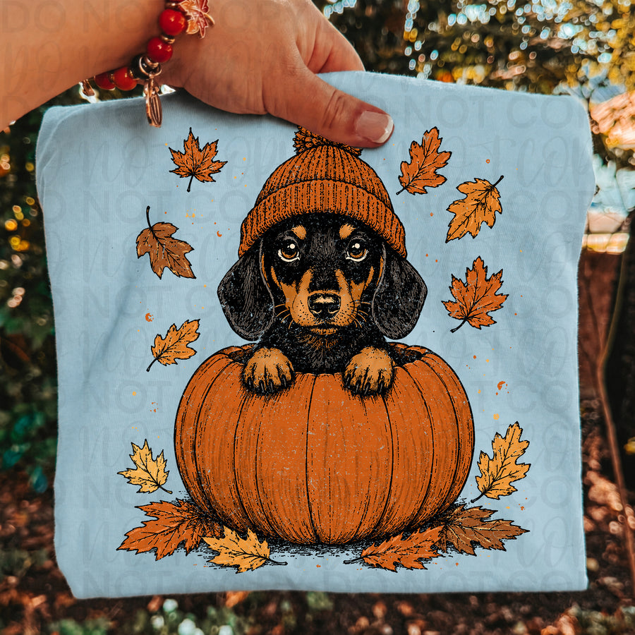 Dachshund Fall Shirt | Cute Weenie Dog Pumpkin Tee | Autumn Dog Lover Shirt | Pumpkin Patch Doxie Graphic Tee | Cozy Fall Comfort Colors Shirt