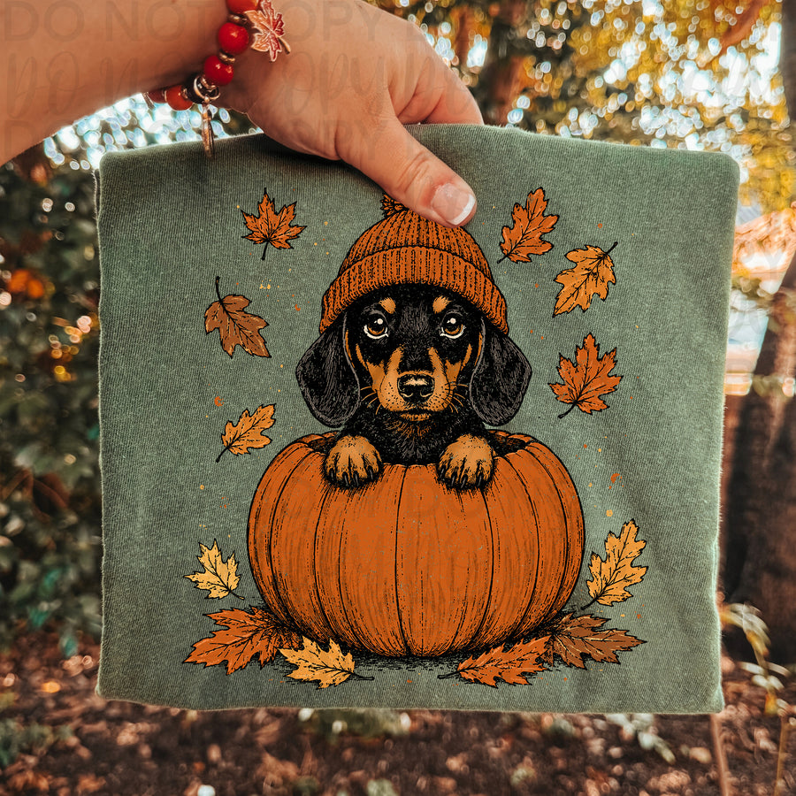 Dachshund Fall Shirt | Cute Weenie Dog Pumpkin Tee | Autumn Dog Lover Shirt | Pumpkin Patch Doxie Graphic Tee | Cozy Fall Comfort Colors Shirt