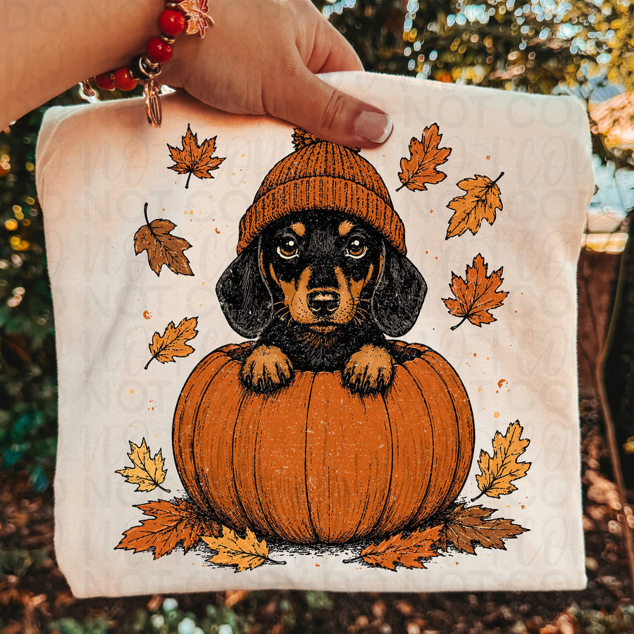Dachshund Fall Shirt | Cute Weenie Dog Pumpkin Tee | Autumn Dog Lover Shirt | Pumpkin Patch Doxie Graphic Tee | Cozy Fall Comfort Colors Shirt