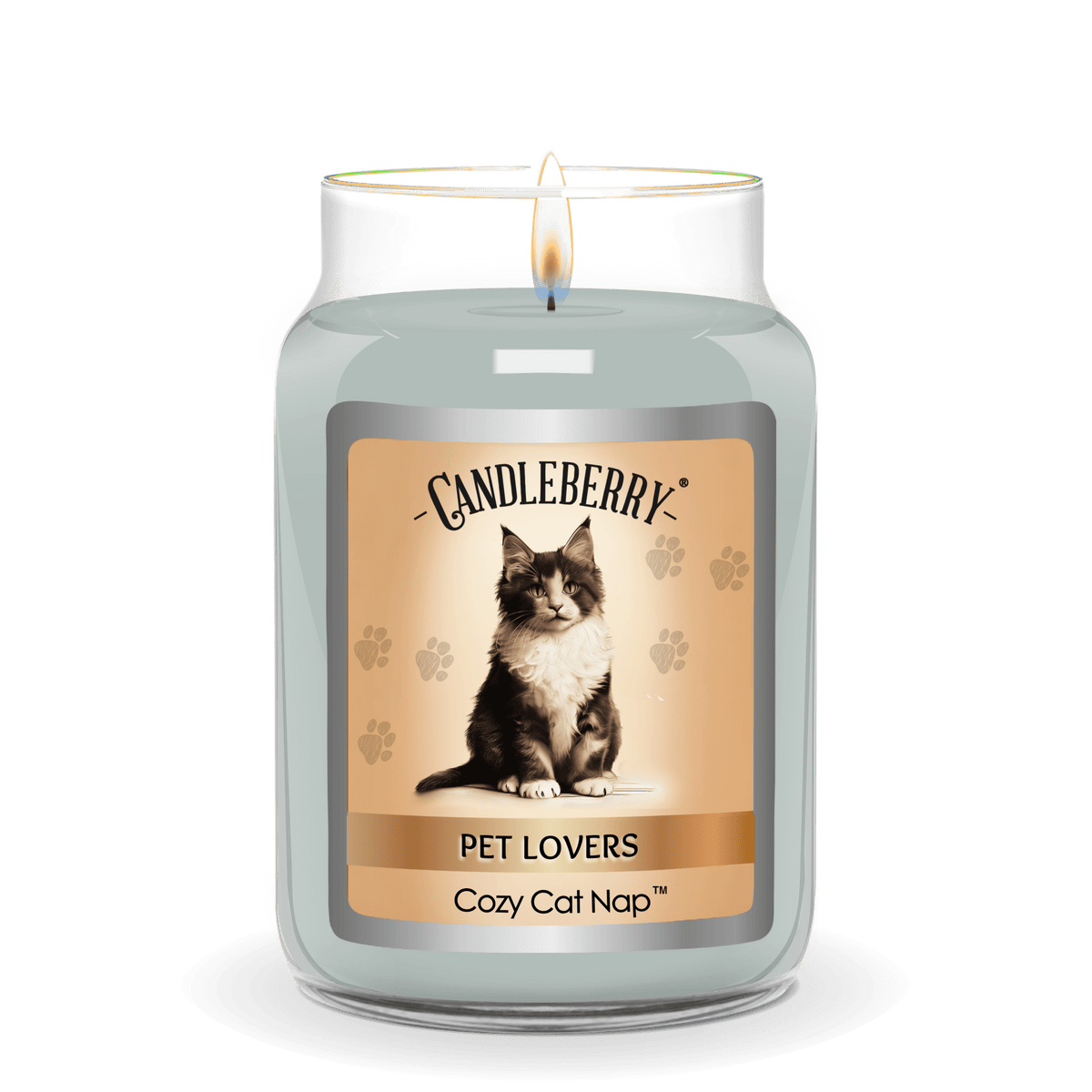 Cozy Cat Nap™ - Large Jar Candle (Collective) - Pretty Petty Co