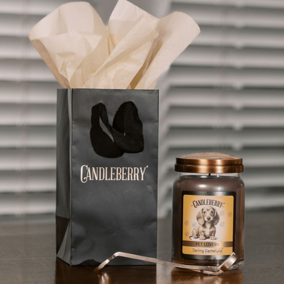 Darling Dachshund™ - Large Jar Candle (Collective) - Pretty Petty Co