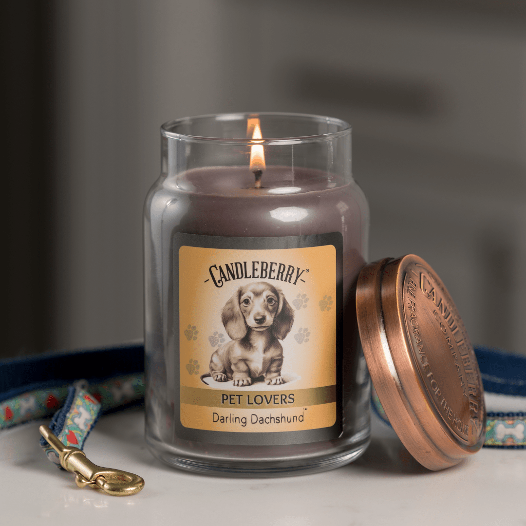 Darling Dachshund™ - Large Jar Candle (Collective) - Pretty Petty Co