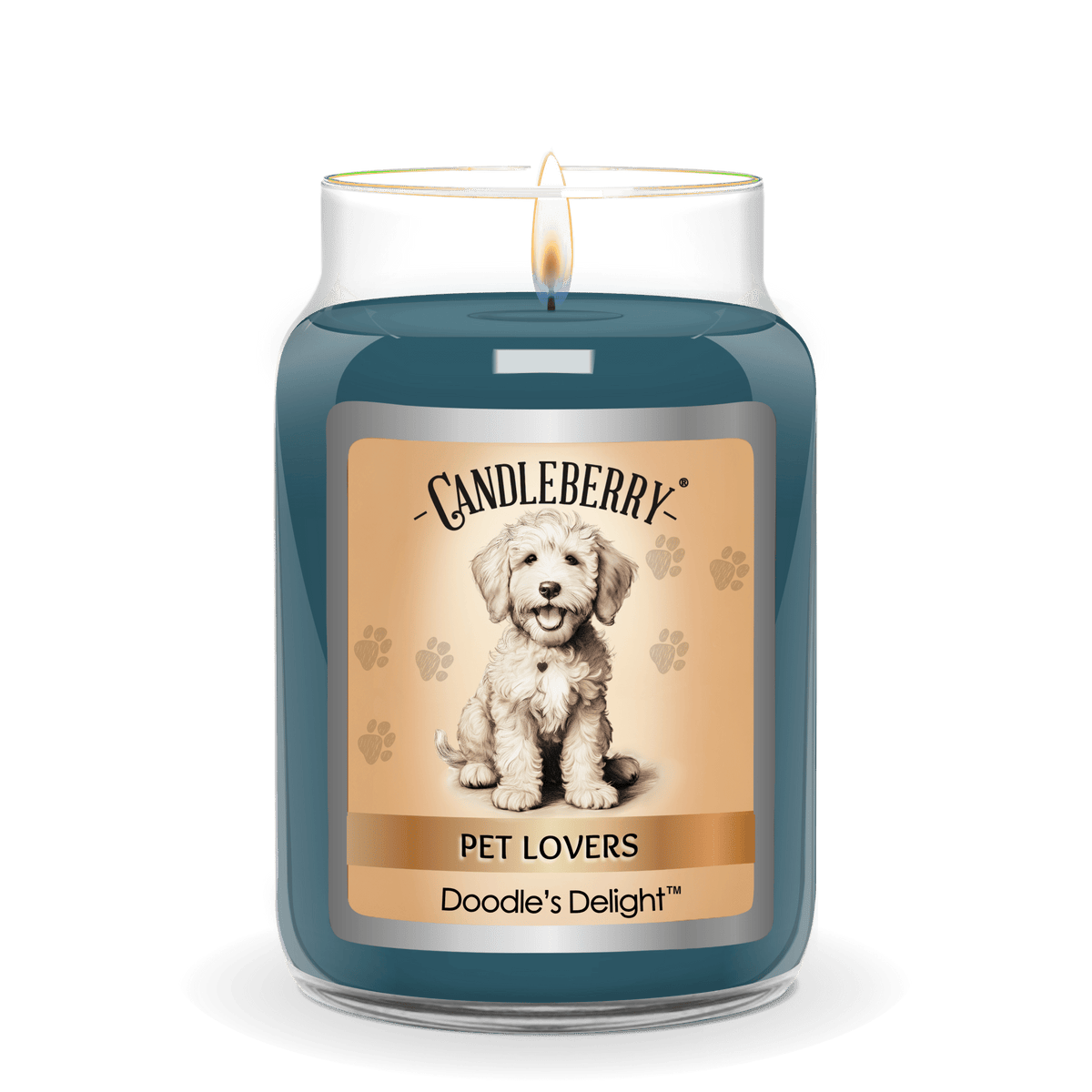 Doodle's Delight™ - Large Jar Candle (Collective) - Pretty Petty Co