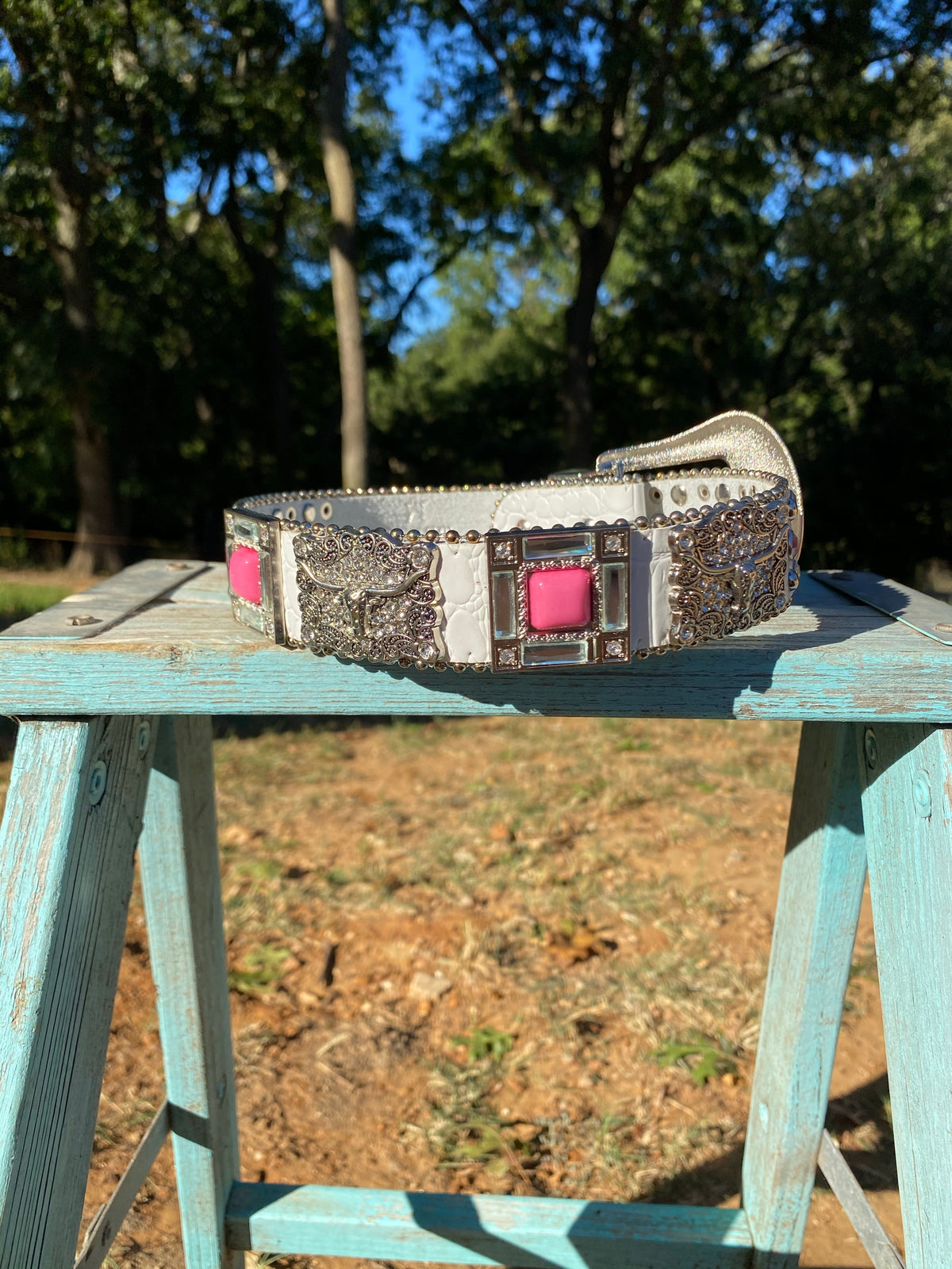 Pink Steerhead Belt - Pretty Petty Co