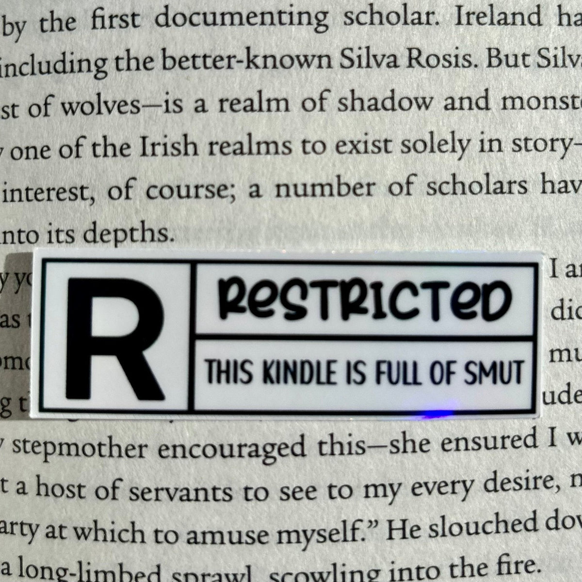 Rated R Restricted Kindle is Full of Smut Sticker - Pretty Petty Co