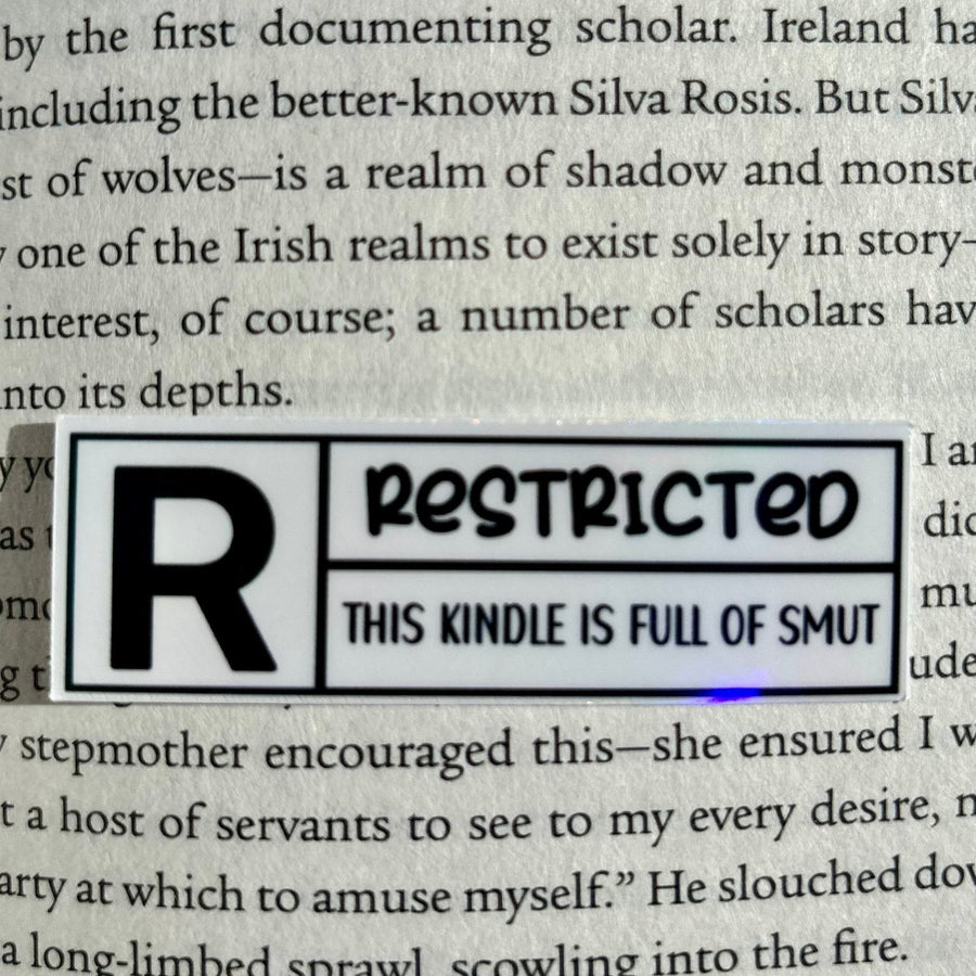 Rated R Restricted Kindle is Full of Smut Sticker - Pretty Petty Co