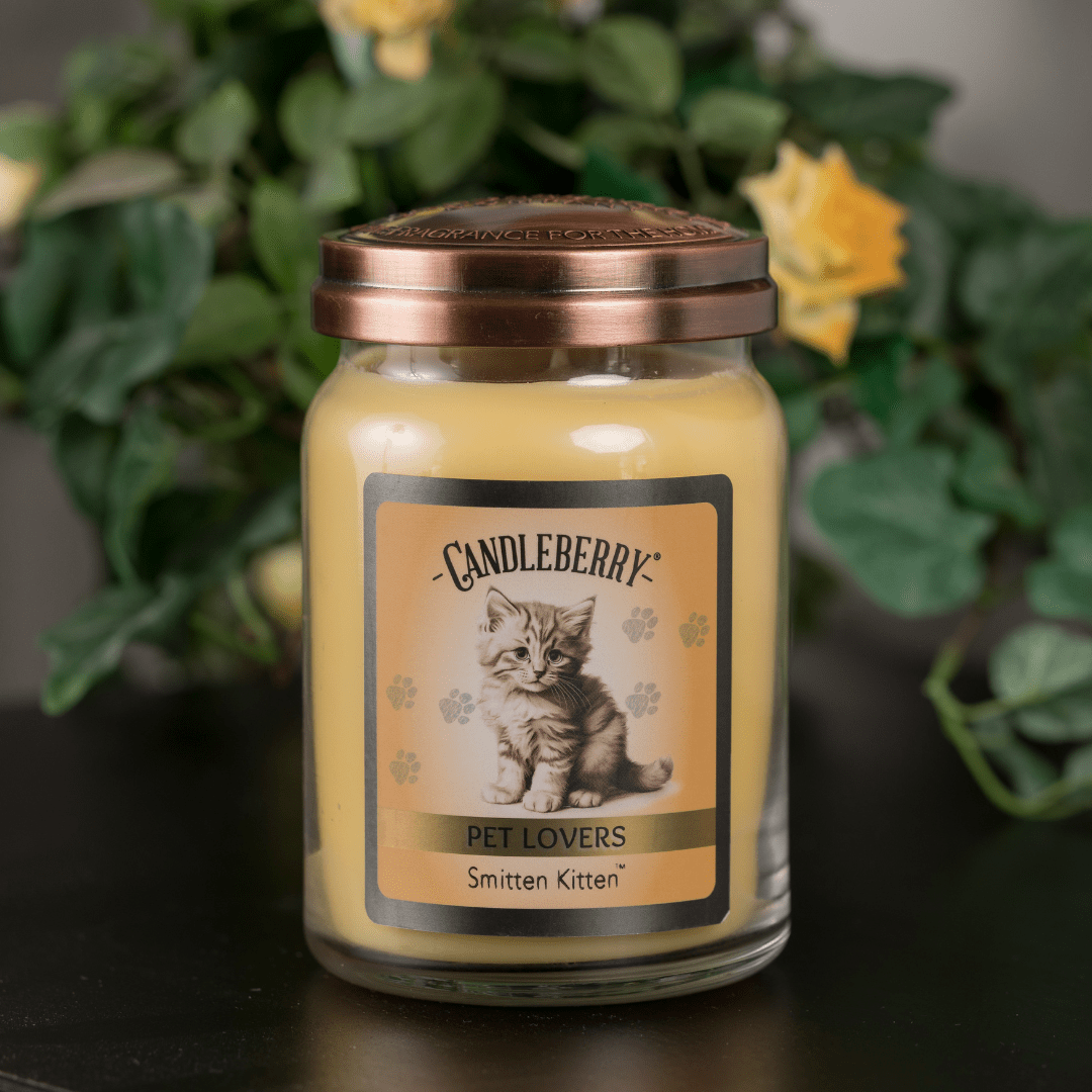 Smitten Kitten™ - Large Jar Candle (Collective) - Pretty Petty Co